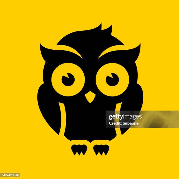 night owl. - wise owl stock illustrations