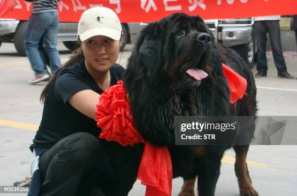 Woman, identified by only the surname Wang, poses with her four-million-yuan dog as they are greeted by a convoy of 30 black Mercedes-Benz cars at...