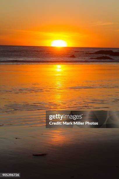 usa, california, cayucos - cayucos stockfoto's en -beelden