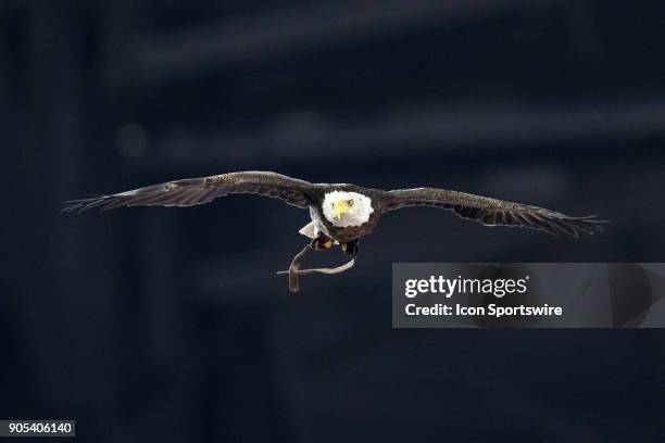 Challenger the bald eagle flies over the field during the national anthem during the Cotton Bowl Classic matchup between the USC Trojans and Ohio...