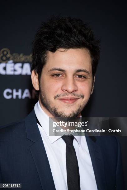 Idir Chender attends the 'Cesar - Revelations 2018' Party at Le Petit Palais on January 15, 2018 in Paris, France.