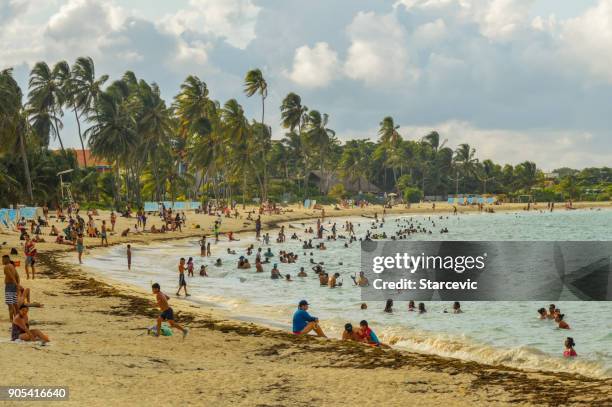 tropischen strand in der karibik - san andres colombia stock-fotos und bilder
