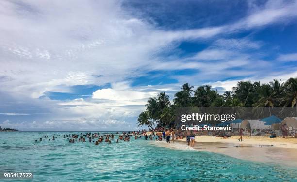 tropisch strand in het caribisch gebied - san andres stockfoto's en -beelden