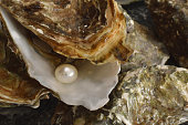 Oyster pearl imitation sambol