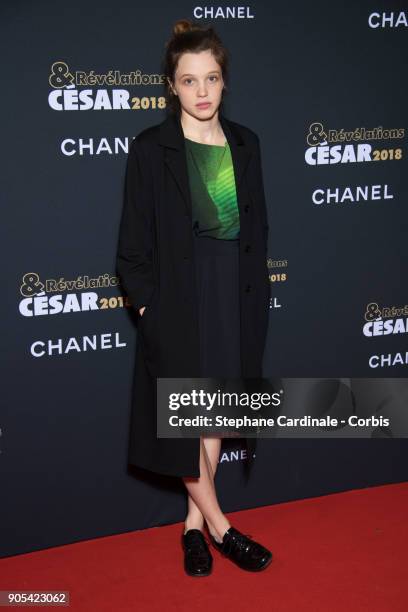 Solene Rigot attends the 'Cesar - Revelations 2018' Party at Le Petit Palais on January 15, 2018 in Paris, France.