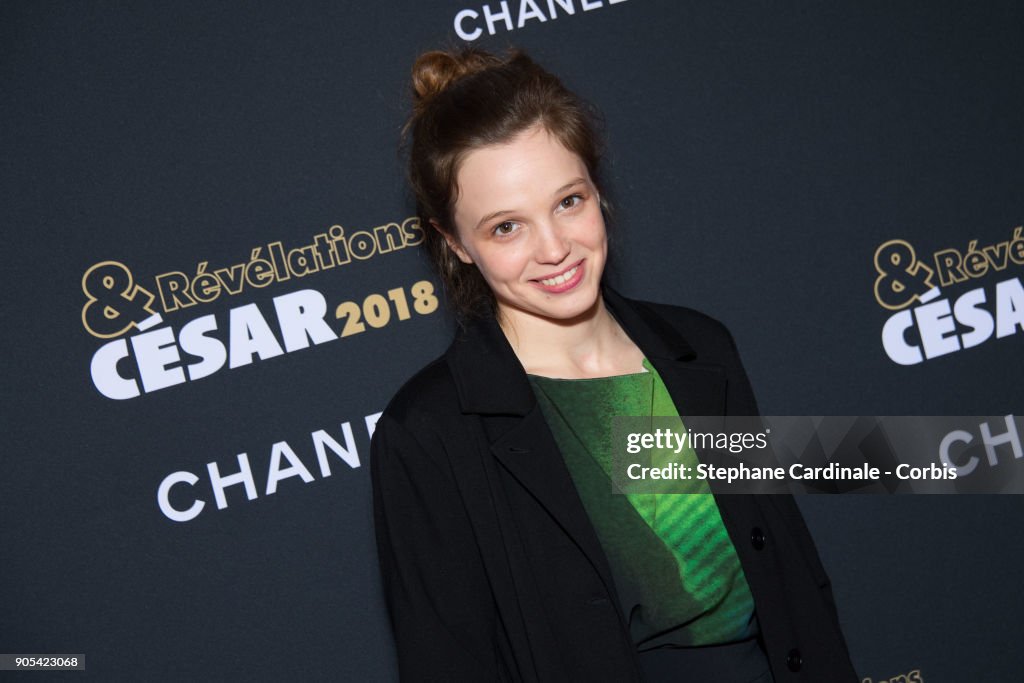'Cesar - Revelations 2018' : Party At Petit Palais In Paris