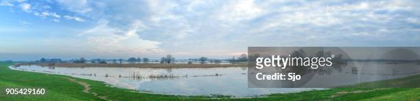 overstromingen in het overloopgebied van de rivier de ijssel in nederland breed panorama - ijssel stockfoto's en -beelden
