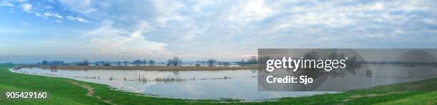 flooding in the overflow area of the river ijssel in the netherlands wide panorama - tide rivers stock pictures, royalty-free photos & images