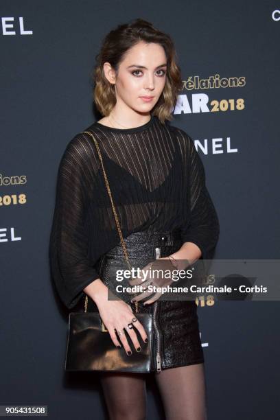 Garance Marillier attends the 'Cesar - Revelations 2018' Party at Le Petit Palais on January 15, 2018 in Paris, France.