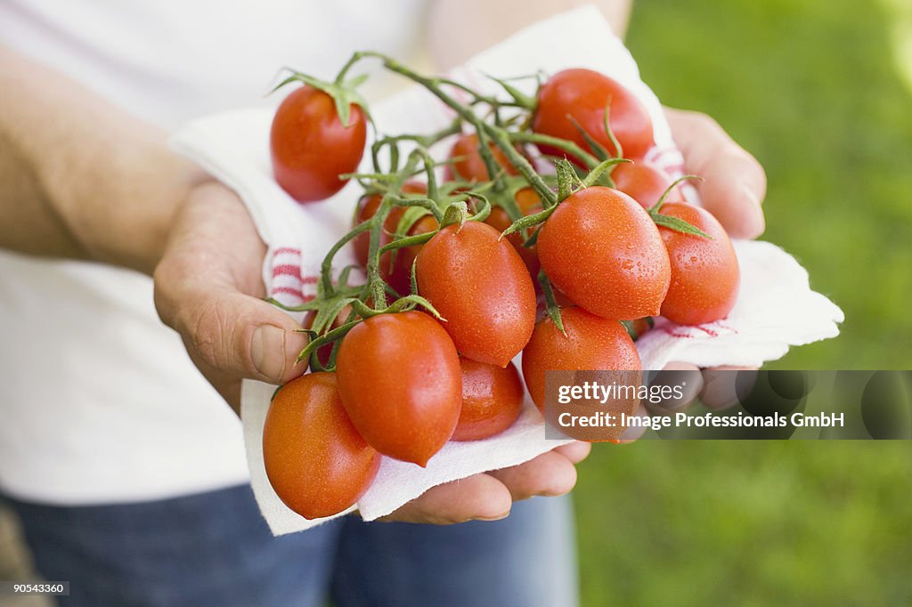 Man holding tomatoes on tea towel