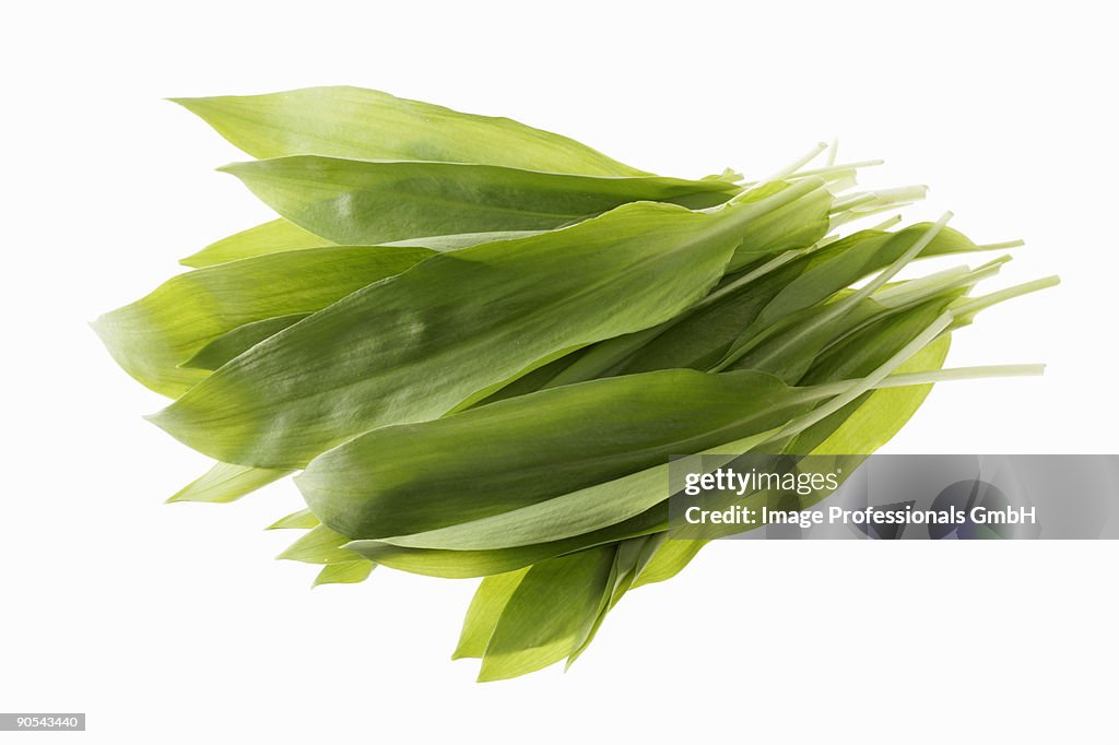 Ramsons leaves on white background, close up