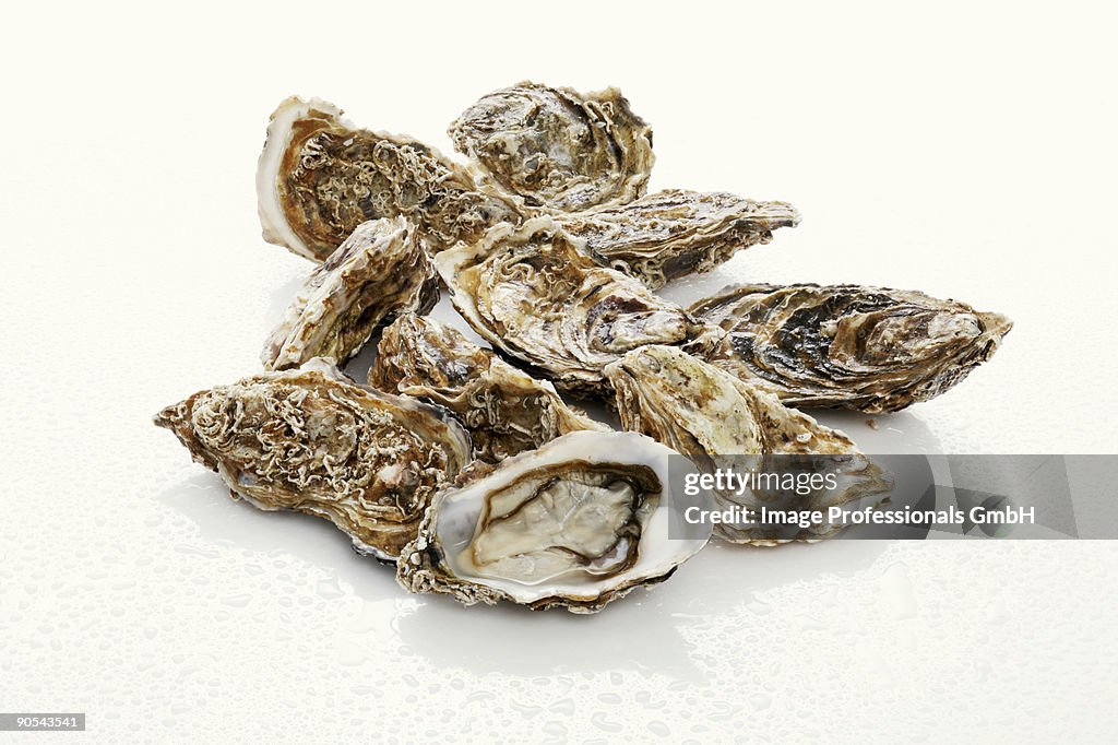 Fresh oysters with water drops on white background, close up