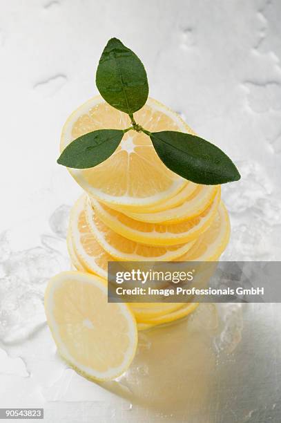 stack of lemon slices, close up - lemon leaf stock pictures, royalty-free photos & images