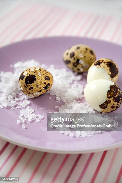 unshelled and half-shelled quails' eggs with sea salt, close up - uovo di quaglia foto e immagini stock