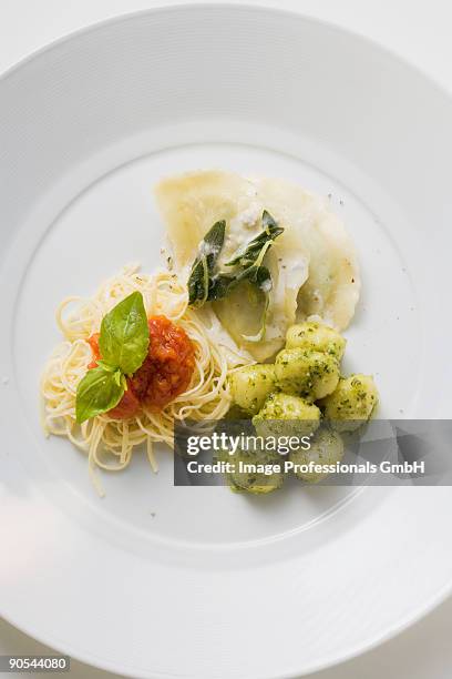 tris di pasta on plate, overhead view, close up - maultaschen stock-fotos und bilder