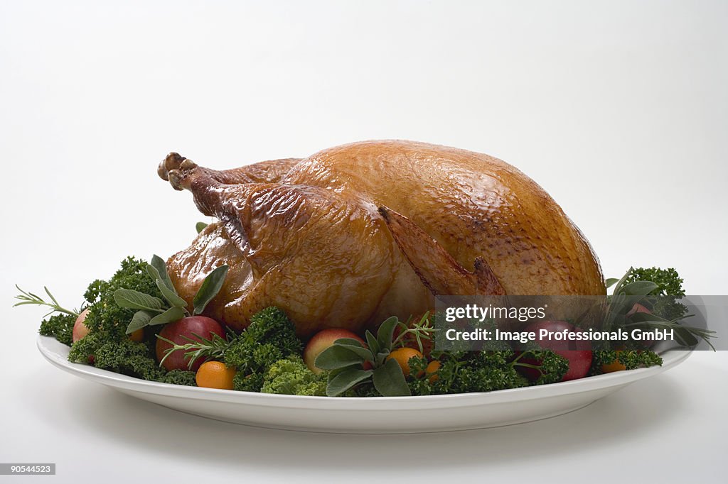 Roast turkey in plate garnished with fruit and herbs, close up