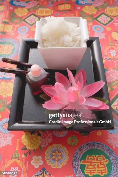 298 Lily Rice Stock Photos, High-Res Pictures, and Images - Getty Images