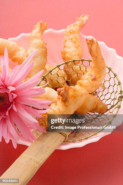 deep-fried prawns in straining spoon, close up - straining spoon stock pictures, royalty-free photos & images