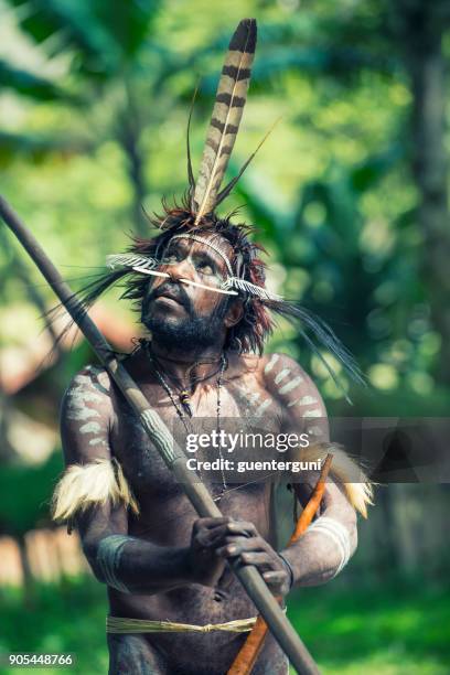 man of the dani tribe in traditional clothing, west-papua - west papua stock pictures, royalty-free photos & images