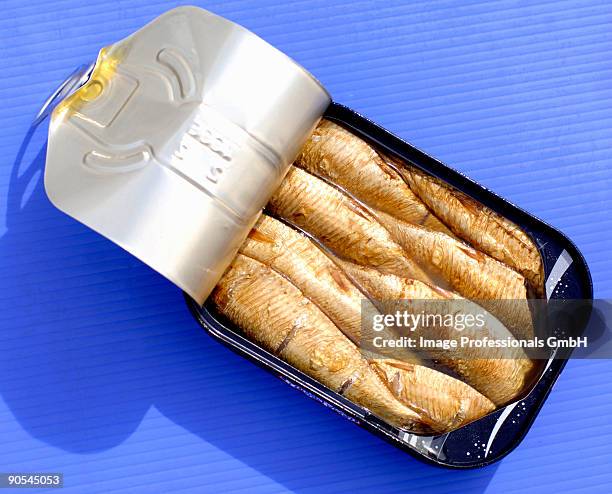 smoked sprats in can, directly above - sprat fish stock pictures, royalty-free photos & images