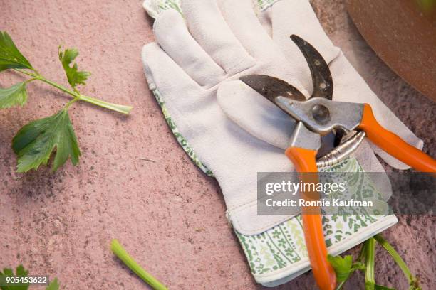 pruning shears and gardening gloves - tuinhandschoen stockfoto's en -beelden