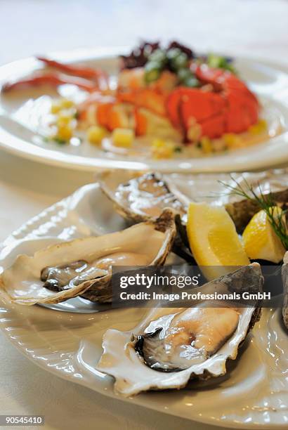 fresh oysters, lobster with pineapple in background, close up - muschel close up studioaufnahme stock-fotos und bilder