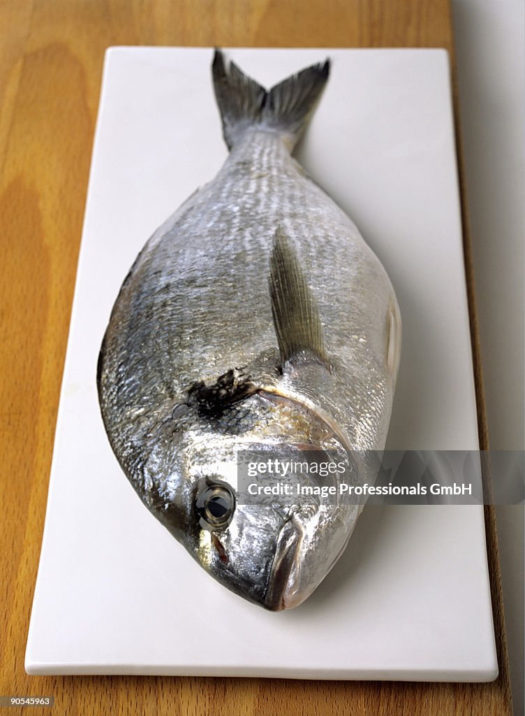 Fresh sea bream on chopping Board, close up