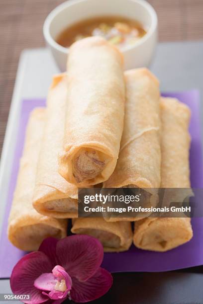 spring roll with dip, close up - vegetarian food pyramid stock pictures, royalty-free photos & images