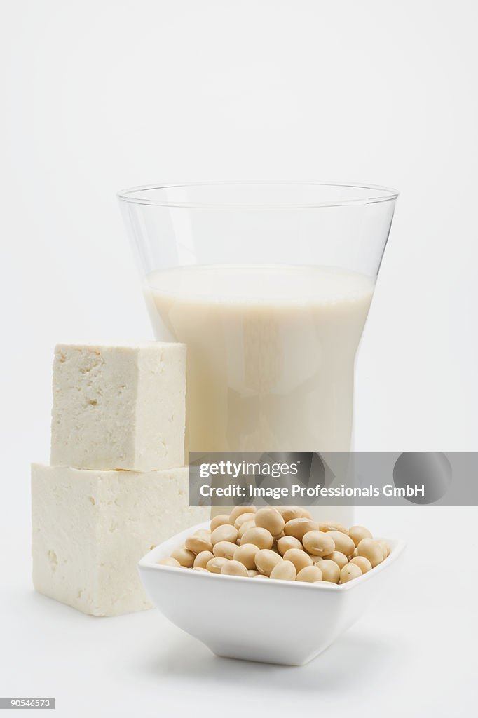 Tofu, soya milk and soya beans on white background, close up