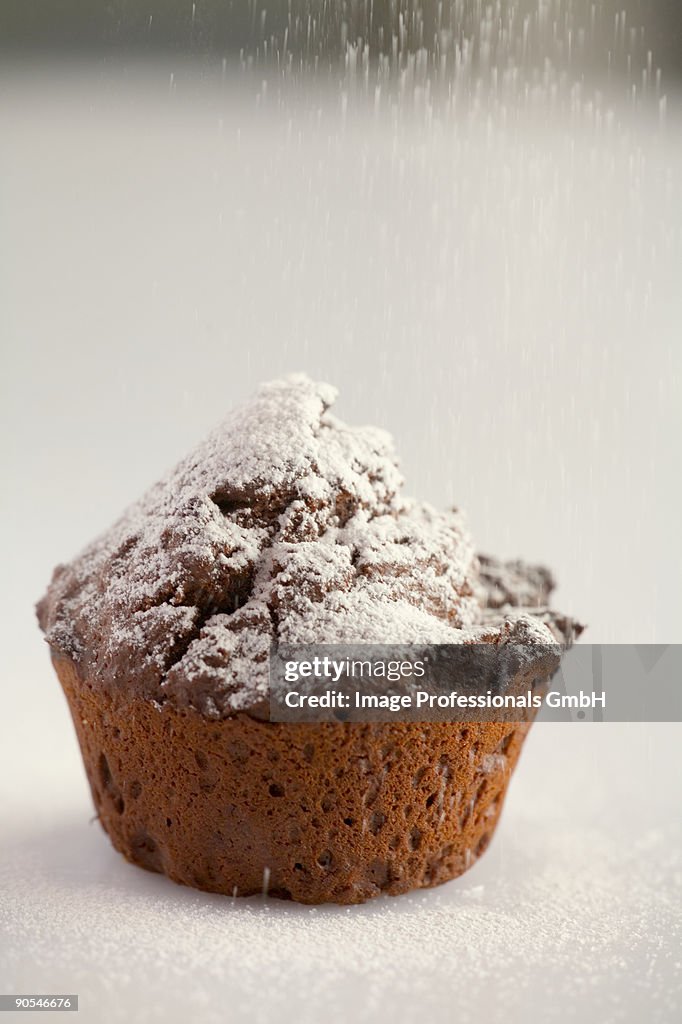 Chocolate muffin with icing sugar, close up