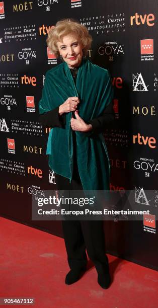 Marisa Paredes attends the Goya cinema awards candidates 2018 meeting at Casa de Correos on January 15, 2018 in Madrid, Spain.