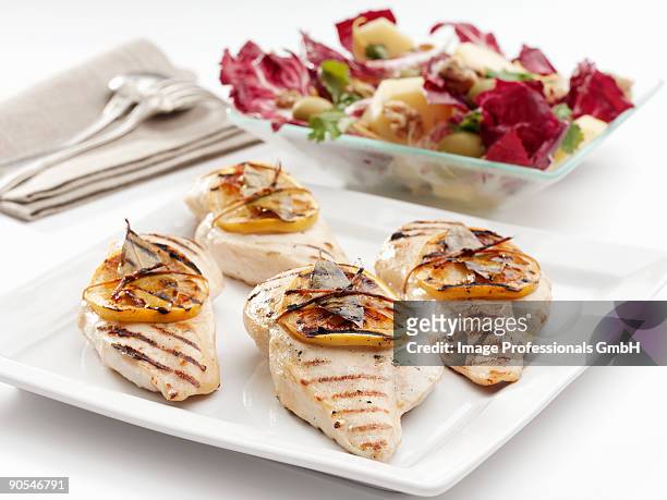 grilled chicken breasts with slices of lemon and salad, close up - lemon chicken stock pictures, royalty-free photos & images