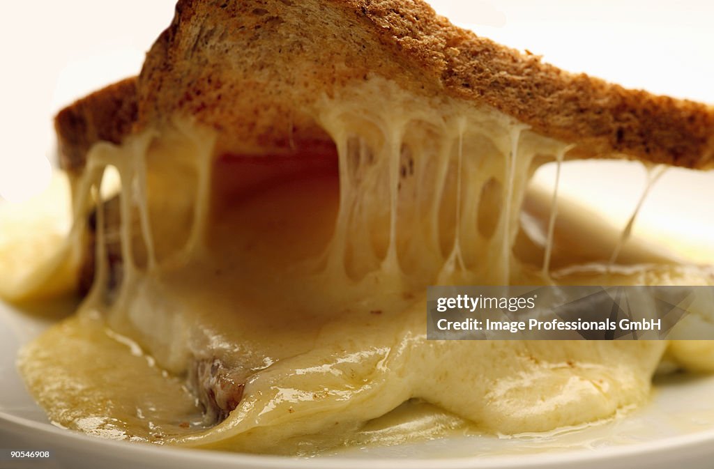 Cheese toast sandwich on white background, close up