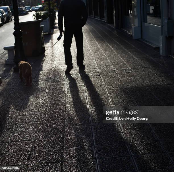 shadow of man and dog - lyn holly coorg stock-fotos und bilder