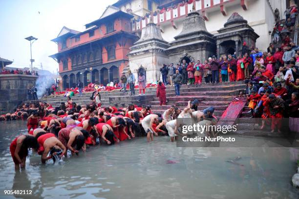 Nepalese Hindu woman takes ritual holy Bath at Pashupathnath Temple, Kathmandu during Madhav Narayan Festival or Swasthani Brata Katha on Tuesday,...