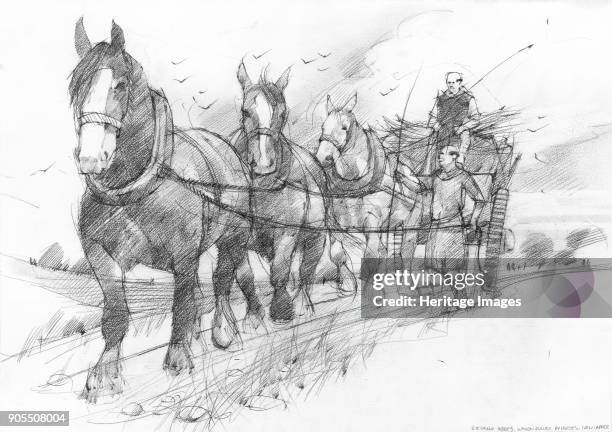 Heavy horses pulling a haycart or goods wagon driven by two medieval Cistercian monks. This illustration is one of a group created to depict scenes...