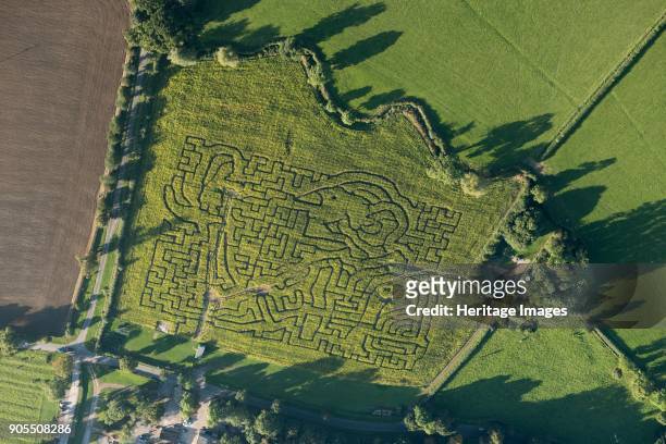 Wistow Maize Maze, Leicestershire, 2016. In 2016 the maze incorporated the outline of the BFG to celebrate the centenary of Roald Dahl's birth....