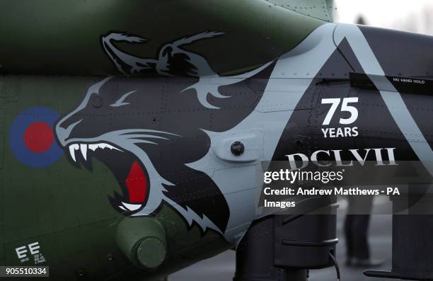 Commemorative art on one of the Army Air Corps' last remaining Lynx Mk9 helicopters at RAF Odiham in Hampshire before a tour to mark the helicopter's...
