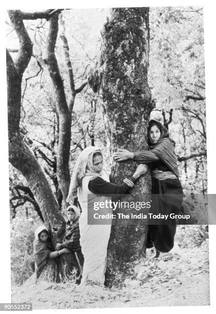 Chipko 29 Chipko Movement Environment Stock Photos, High-Res Pictures, and ...