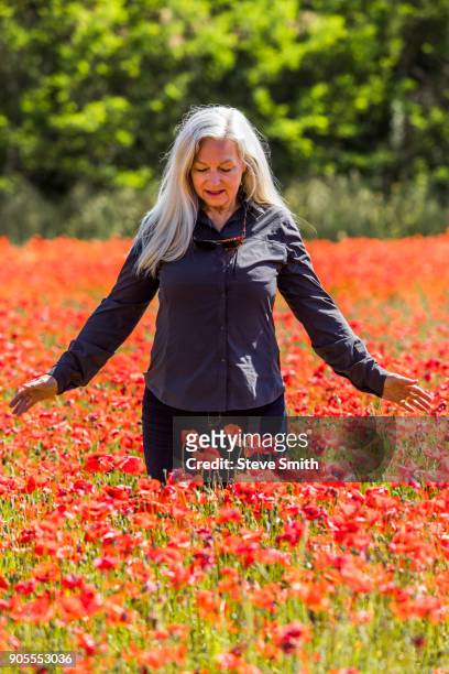 caucasian woman looking down at field of flowers - stehmohn stock-fotos und bilder