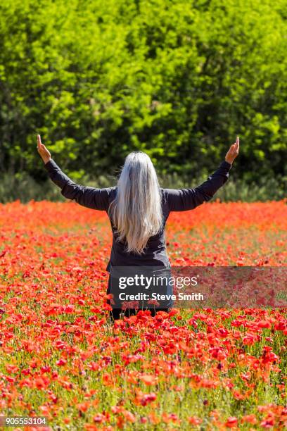 caucasian woman with arms raised in field of flowers - stehmohn stock-fotos und bilder