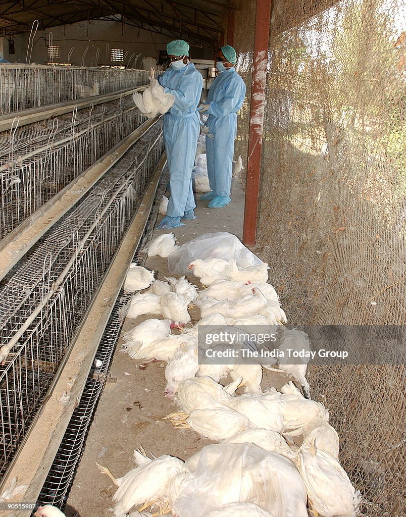 Masked Animal Husbandry People are at Navapur in the Maharashtra's... News Photo - Getty Images Masked Animal Husbandry People are at Navapur in the Maharashtra's... News Photo - Getty Images