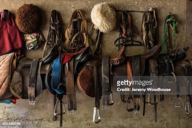 saddles hanging on wall - pferdestall stock-fotos und bilder