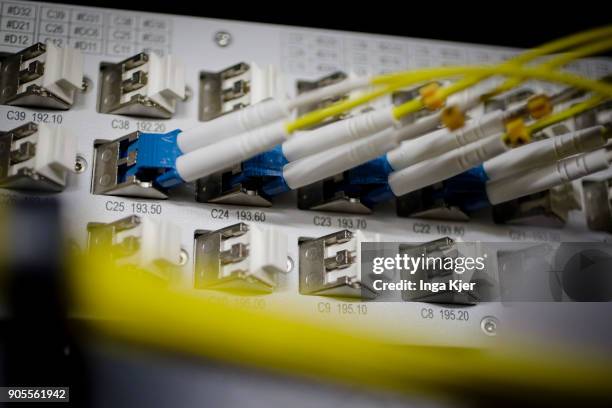 Cables of a server in a data room, on January 12, 2018 in Berlin, Germany.