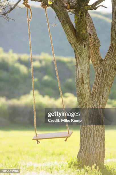 tree swing - altalena di corda foto e immagini stock