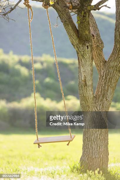 tree swing - provo 個照片及圖片檔