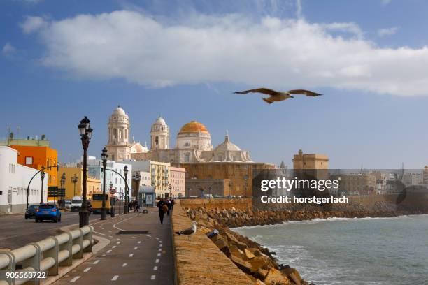 die neue kathedrale und hafen von cadiz, spanien - stadt cadiz stock-fotos und bilder