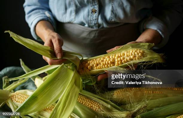 close up of caucasian woman shucking corn - corn on black stockfoto's en -beelden