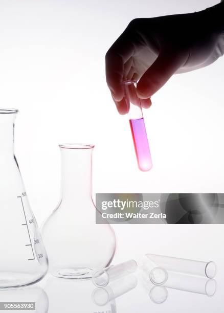 caucasian scientist holding purple liquid in test tube - beaker white background stock pictures, royalty-free photos & images