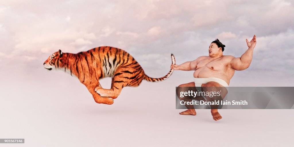 Sumo wrestler holding tiger by the tail